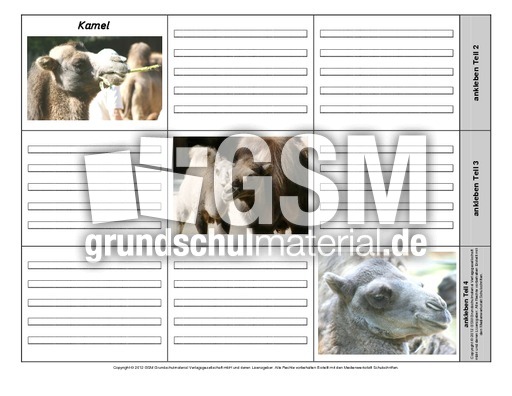 Leporello-Kamel-1-1-2.pdf